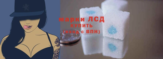 jwh Белокуриха