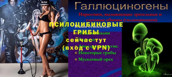 крисы Снежногорск